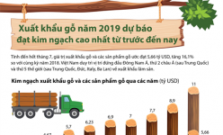 [Infographic] Xuất khẩu gỗ năm 2019 dự báo đạt kim ngạch cao nhất từ trước đến nay