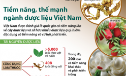 [Infographic] Tiềm năng, thế mạnh ngành dược liệu Việt Nam