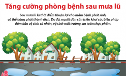 [Infographic] Tăng cường phòng bệnh sau mưa lũ