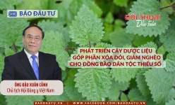 Phát triển cây dược liệu góp phần xóa đói, giảm nghèo cho đồng bào dân tộc thiểu số