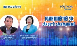 [Video] Doanh nghiệp kiệt sức, cần quyết sách mạnh mẽ