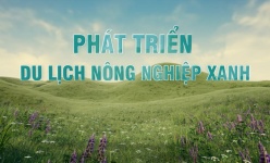 [Video] Phát triển nông nghiệp xanh, bền vững gắn với mô hình du lịch nông thôn