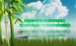 Ngoại giao cây tre đã gắn liền với Việt Nam hàng ngàn năm, nay được nâng lên thành lý luận