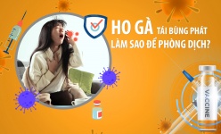 [Video] Ho gà tái bùng phát, làm sao để phòng dịch?
