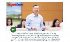 [Insight] Chính sách hỗ trợ phải giúp doanh nghiệp nhỏ và vừa nâng chất, tăng sức cạnh tranh
