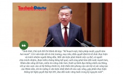 [Insight] Kế hoạch một, biện pháp mười, quyết tâm hai mươi