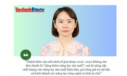 [Insight] Nền kinh tế cần nâng cấp năng lực sản xuất, gia tăng giá trị nội địa