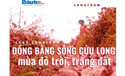 {Longform} Đồng bằng sông Cửu Long mùa đỏ trời, trắng đất - Kỳ 1: Quay cuồng trong… khát