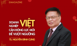 [Emagazine] TS. Nguyễn Đình Cung: Doanh nghiệp Việt cần động lực mới để vượt ngưỡng