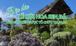 [Ảnh] Độc đáo Lễ hội Hoa Sen đá lần đầu tiên được tổ chức tại Sa Pa