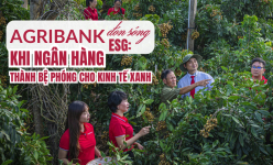 [Emagazine] Agribank đón sóng ESG: Khi ngân hàng thành bệ phóng cho kinh tế xanh 