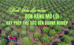 [Longform] Xuất khẩu đầu năm: Đơn hàng mở lối hay phép thử sức bền doanh nghiệp