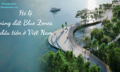 Hé lộ vùng đất Blue Zones đầu tiên ở Việt Nam