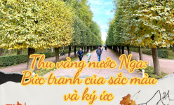 Thu vàng nước Nga: Bức tranh của sắc màu và ký ức