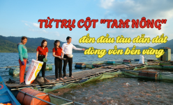 Từ trụ cột "Tam nông" đến đầu tàu dẫn dắt dòng vốn bền vững  