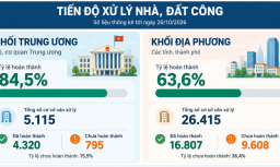 Hơn 10.400 cơ sở nhà, đất công chưa hoàn thành xử lý, TP.HCM mới đạt 5%