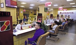 Vốn xanh không thể chỉ dựa vào ngân hàng