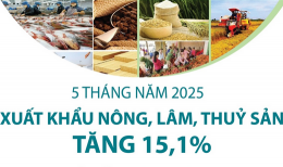 Xuất khẩu nông, lâm, thủy sản tăng 15,1% sau 5 tháng năm 2025