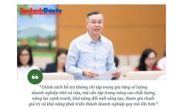 [Insight] Chính sách hỗ trợ phải giúp doanh nghiệp nhỏ và vừa nâng chất, tăng sức cạnh tranh