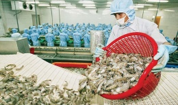 Kim ngạch hai chiều Việt Nam - EU hướng mốc 100 tỷ USD
