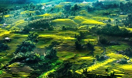 Tổ chức Tuần Du lịch - Văn hóa Tây Bắc tại TP. Cần Thơ