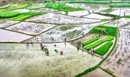 Từ 0h00 ngày 8/2 bắt đầu lấy nước đợt 2 phục vụ nông nghiệp vùng Bắc bộ