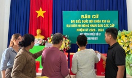 Xác nhận tư cách 500 đại biểu Quốc hội Khóa XVI