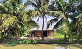 Doanh nghiệp cần trợ lực để bảo vệ chuỗi giá trị ngành dừa
