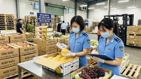 WHO khuyến nghị đổi mới quản lý an toàn thực phẩm từ gốc
