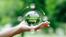 Phân cấp, phân quyền về cấp tài khoản trên Hệ thống đăng ký quốc gia tín chỉ carbon