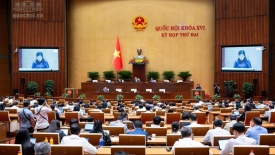 Sửa Luật An toàn thực phẩm: Còn nhiều băn khoăn về tính khả thi