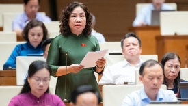 Luật Phát triển doanh nghiệp nhỏ và vừa dưới góc nhìn đại biểu là doanh nhân