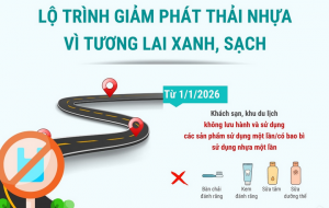 Lộ trình giảm phát thải nhựa vì tương lai xanh, sạch của Hà Nội