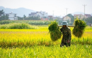 Kiến tạo nền nông nghiệp bền vững từ tiếng nói người nông dân