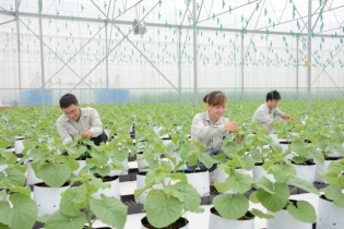 Lượng tiền dồi dào, PAN tiếp tục bơm vốn cho M&A