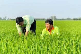 9 tháng PAN đã hoàn thành 69% kế hoạch doanh thu, 65% kế hoạch lợi nhuận năm