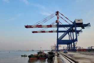 Cục Hàng hải báo cáo viêc Cảng VIMC Đình Vũ đón tàu container 