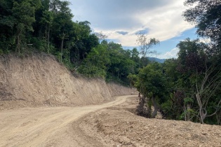 Làm rõ việc sử dụng đất rừng làm đường công vụ thi công cao tốc Bắc - Nam