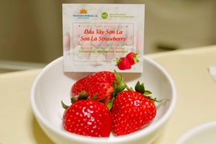 Đưa đặc sản dâu tây Sơn La lên các chuyến bay của Vietnam Airlines