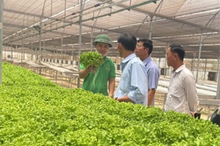 KN Investment Group muốn đầu tư 4 dự án nông nghiệp công nghệ cao tại Đồng Nai 