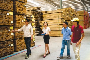 Tập đoàn Tân Mai muốn làm Khu công nghiệp chuyên ngành gỗ tại thủ phủ gỗ Đồng Nai 