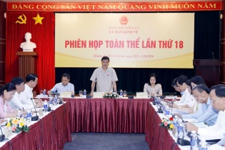Đất khu công nghiệp quy hoạch nhiều, nhưng thực hiện rất thấp