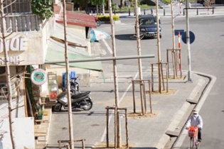 Hà Nội lại sắp thay cây