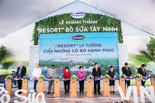 Vinamilk “bóc tem” resort bò sữa mới tại Tây Ninh