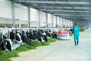 TP.HCM lập khu công nghiệp dành cho doanh nghiệp khởi nghiệp ứng dụng công nghệ cao TP.HCM lập khu công nghiệp dành cho doanh nghiệp khởi nghiệp ứng dụng công nghệ cao