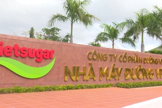 Chiến lược M&A của Vinamilk: Đồng thuận để phát triển bền vững