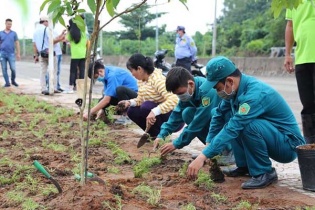 VWS trồng cây bảo vệ môi trường 