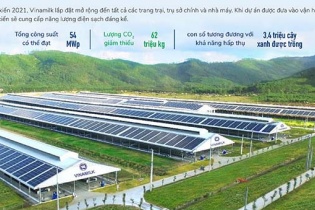 Phát triển bền vững sẽ là vaccine của doanh nghiệp giữa bão Covid-19