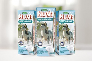 Nuôi bò sữa bằng thảo dược, Nutifood tạo đột phá mới