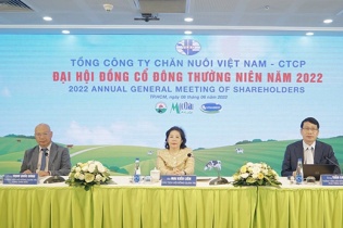 Vilico sẽ chuyển niêm yết lên HoSE, cùng đối tác Nhật Bản xúc tiến dự án Bò thịt